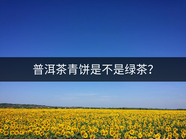 普洱茶青餅是不是綠茶？