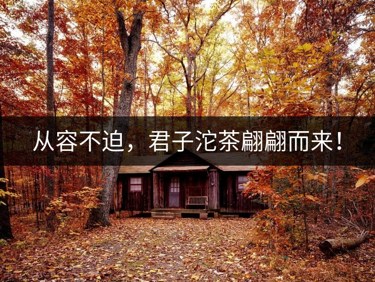 從容不迫，君子沱茶翩翩而來！