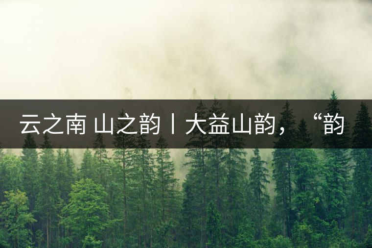 云之南 山之韻丨大益山韻，“韻”味傳奇之山韻歸來(lái)