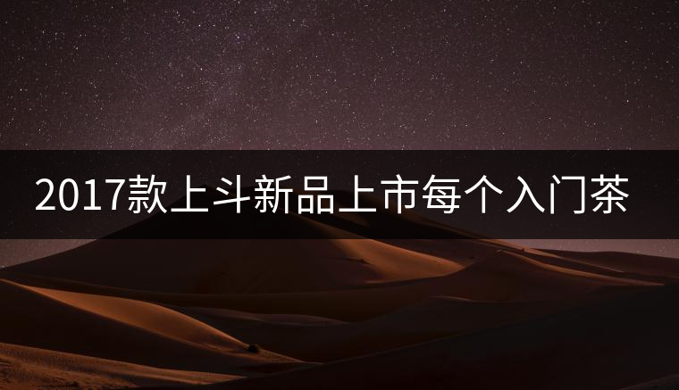 2017款上斗新品上市每個入門茶人都欠自己一餅上斗！