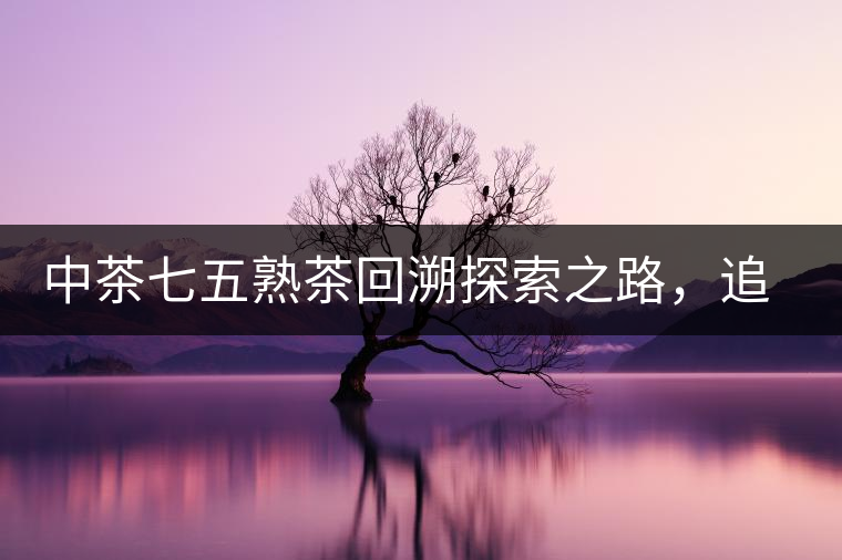 中茶七五熟茶回溯探索之路，追尋歷史印跡