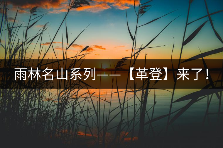 雨林名山系列——【革登】來了！