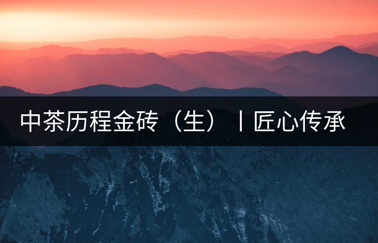 中茶歷程金磚（生）丨匠心傳承，精品迭出