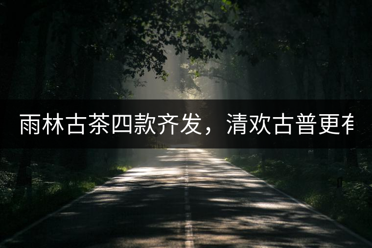 雨林古茶四款齊發(fā)，清歡古普更有味！