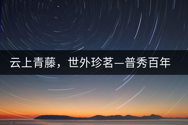 云上青藤,世外珍茗—普秀百年藤條茶即將上市 云上青藤,世外珍茗—普秀百年藤條茶即將上市