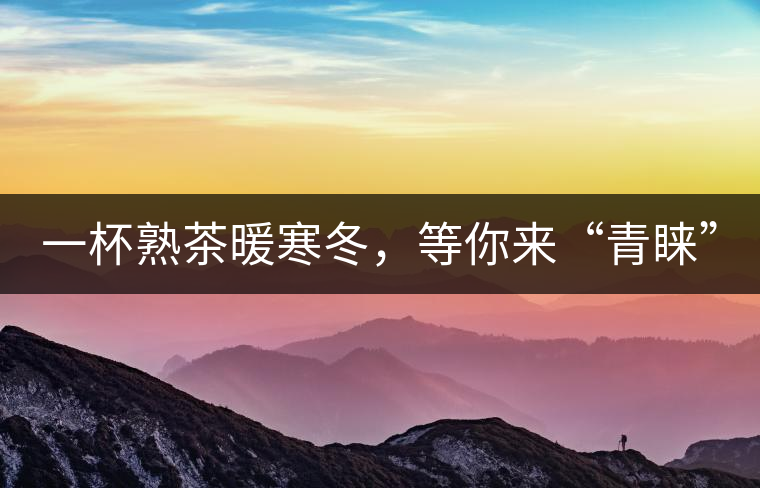 一杯熟茶暖寒冬，等你來“青睞”