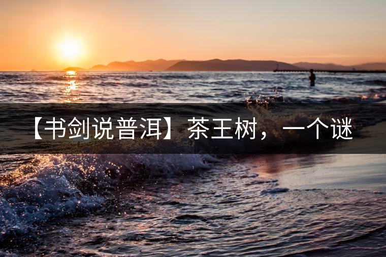 【書劍說普洱】茶王樹，一個(gè)謎一樣的地方