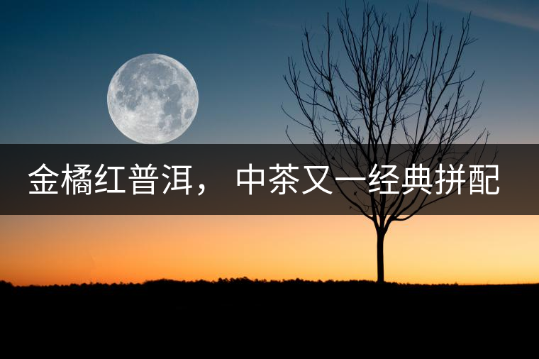 金橘紅普洱， 中茶又一經(jīng)典拼配力作，值得期待！