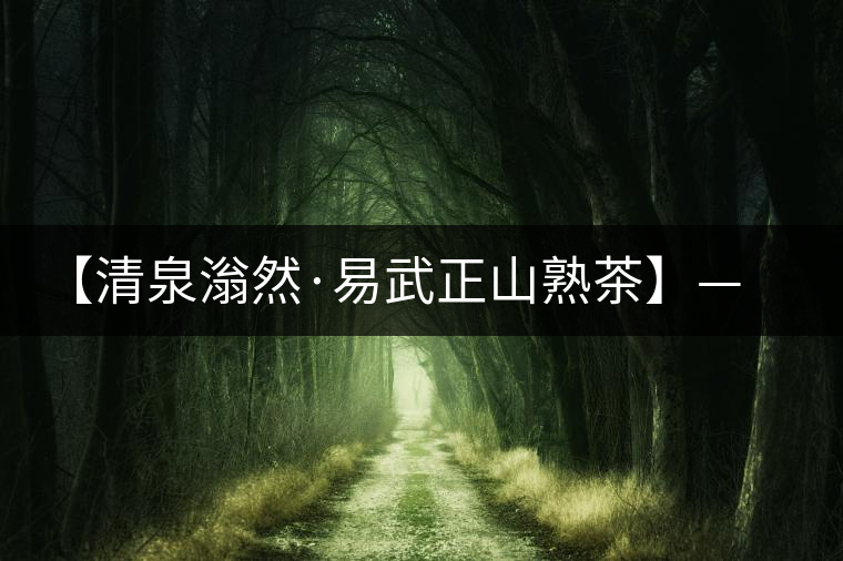 【清泉滃然·易武正山熟茶】——熨帖冬季的寒冷，來的正是時候！