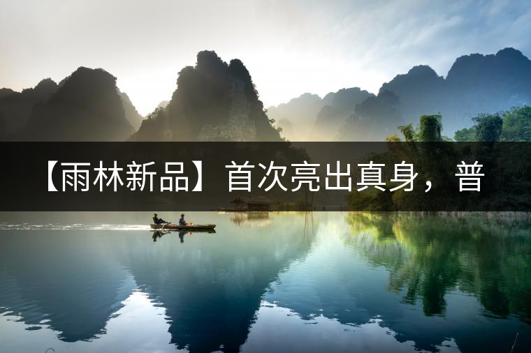 【雨林新品】首次亮出真身，普洱茶史上第一件新班章！