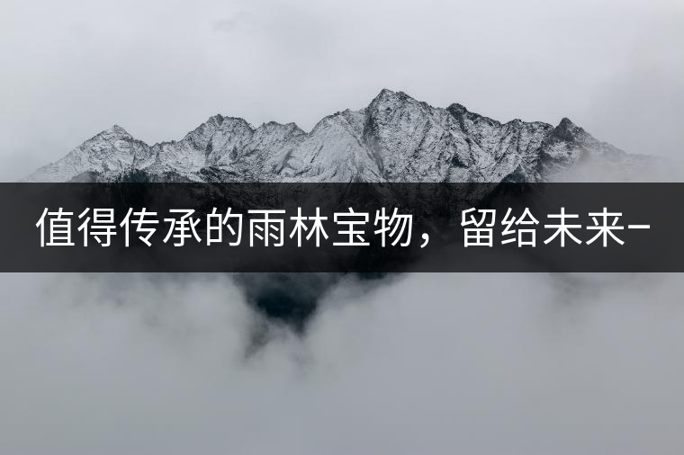 值得傳承的雨林寶物，留給未來(lái)一點(diǎn)“回甘”！