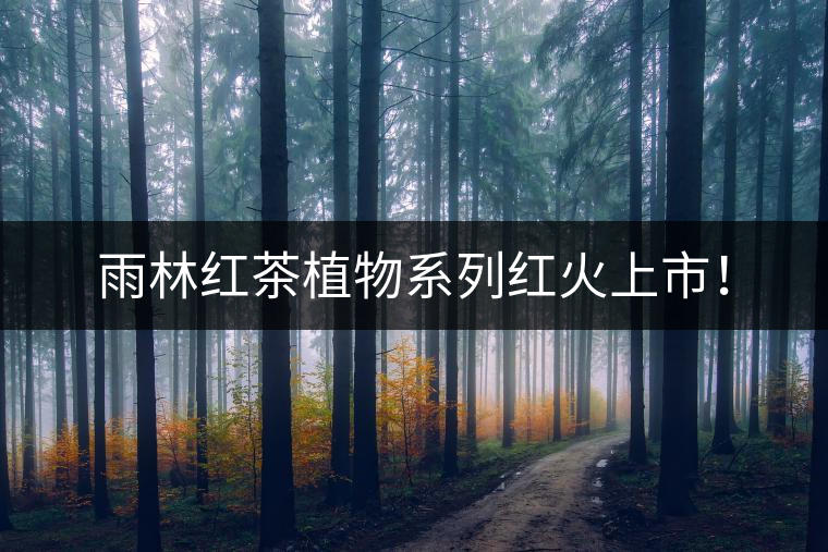 雨林紅茶植物系列紅火上市！