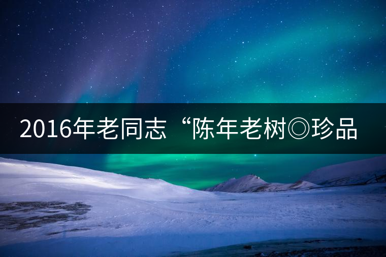2016年老同志“陳年老樹(shù)◎珍品普洱”隆重上市！