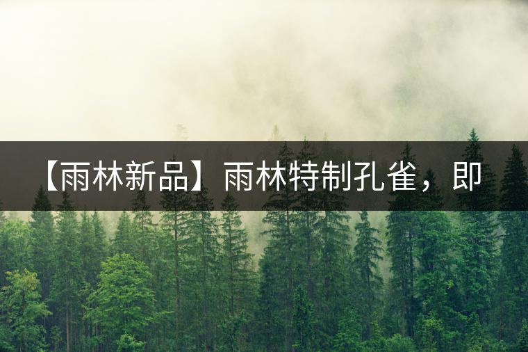 【雨林新品】雨林特制孔雀，即將妙態(tài)綻放