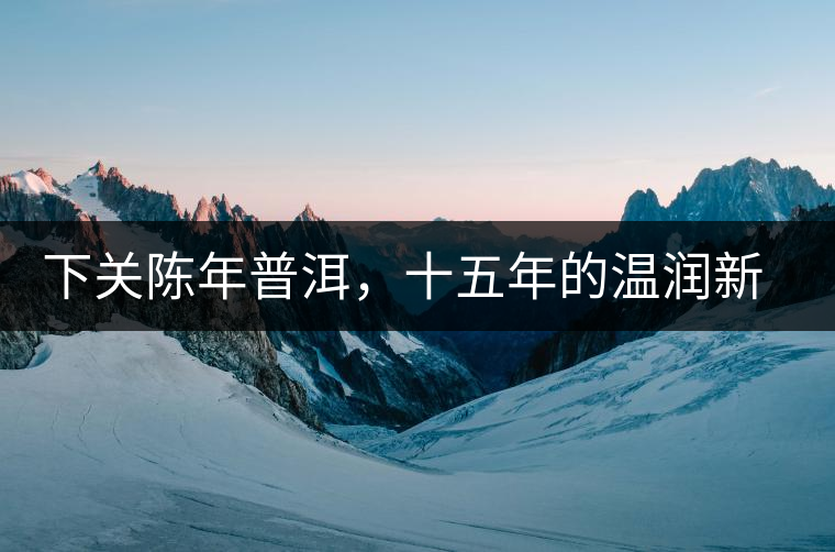 下關(guān)陳年普洱，十五年的溫潤(rùn)新生