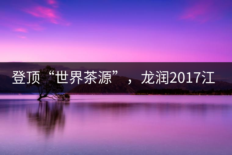 登頂“世界茶源”，龍潤2017江城茶上市啦！