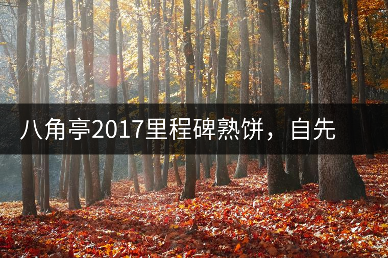 八角亭2017里程碑熟餅，自先發(fā)酵而后愛人