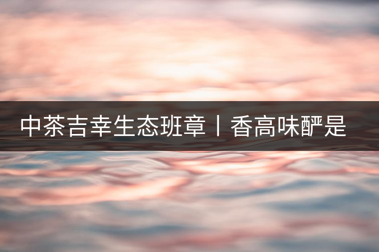 中茶吉幸生態(tài)班章丨香高味釅是王者，且品且珍惜