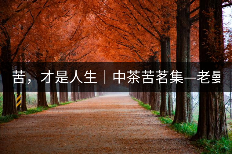 苦，才是人生｜中茶苦茗集—老曼峨普洱茶（生茶）