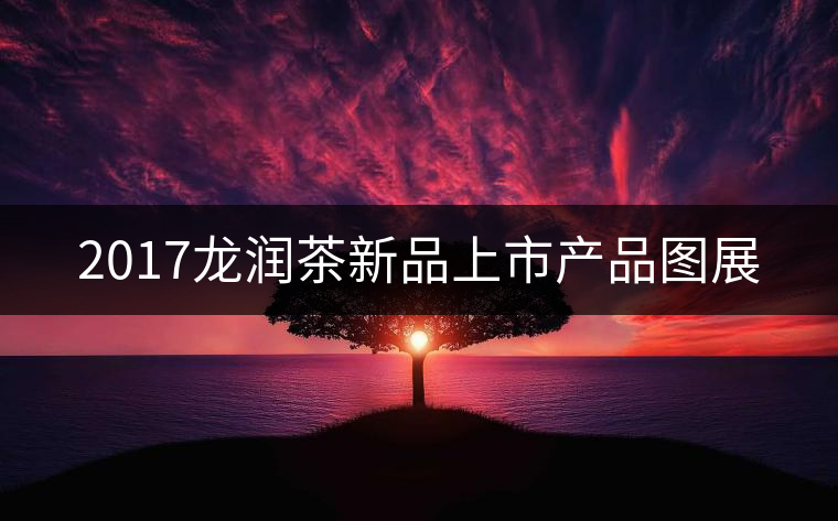 2017龍潤茶新品上市產品圖展