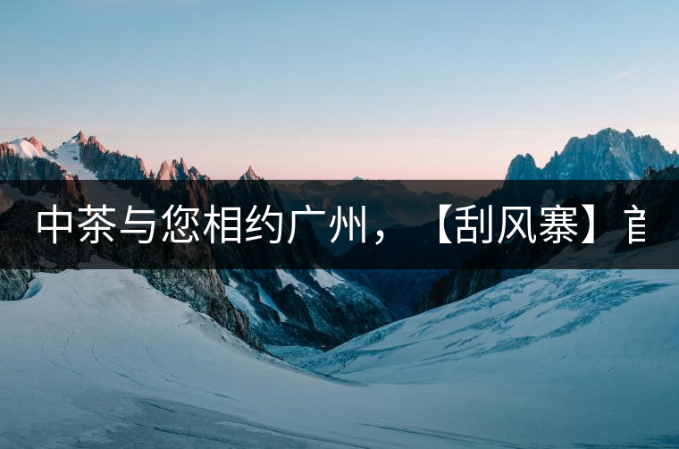 中茶與您相約廣州，【刮風(fēng)寨】首次亮相！