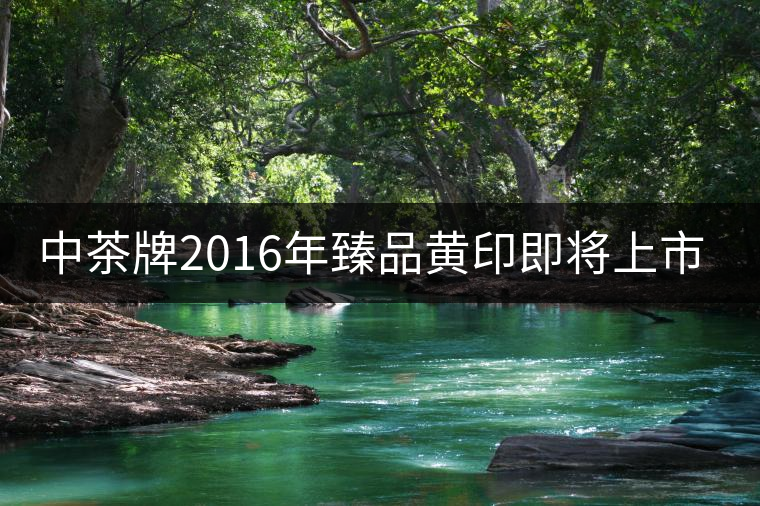 中茶牌2016年臻品黃印即將上市！