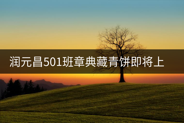 潤元昌501班章典藏青餅即將上市 潤元昌501班章典藏青餅即將上市