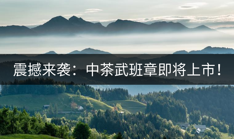 震撼來襲：中茶武班章即將上市！