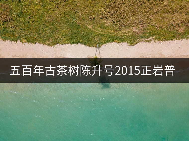 五百年古茶樹陳升號(hào)2015正巖普洱上市