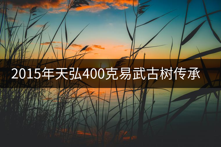 2015年天弘400克易武古樹(shù)傳承熟茶上市 2015年天弘400克易武古樹(shù)傳承熟茶上市