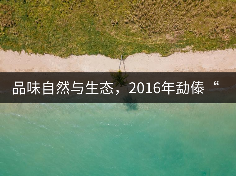 品味自然與生態(tài)，2016年勐傣“大雪山古樹茶”