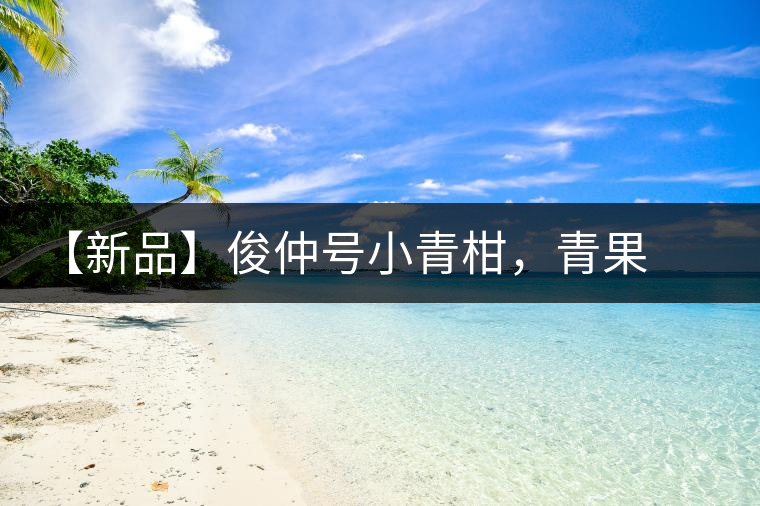 【新品】俊仲號小青柑，青果來傾城