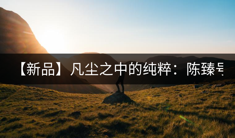 【新品】凡塵之中的純粹：陳臻號2016年精品青餅即將上市！