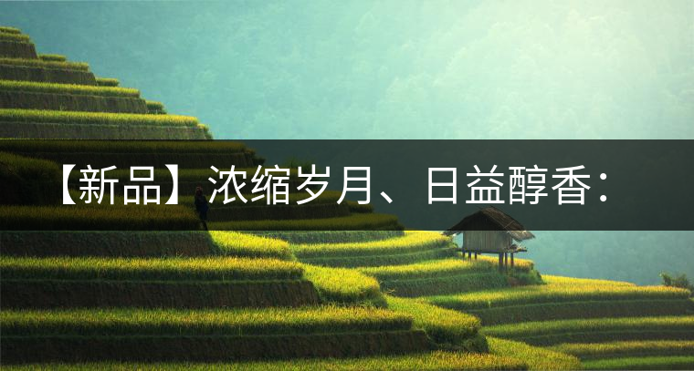 【新品】濃縮歲月、日益醇香：陳臻號陳品熟餅即將上市！