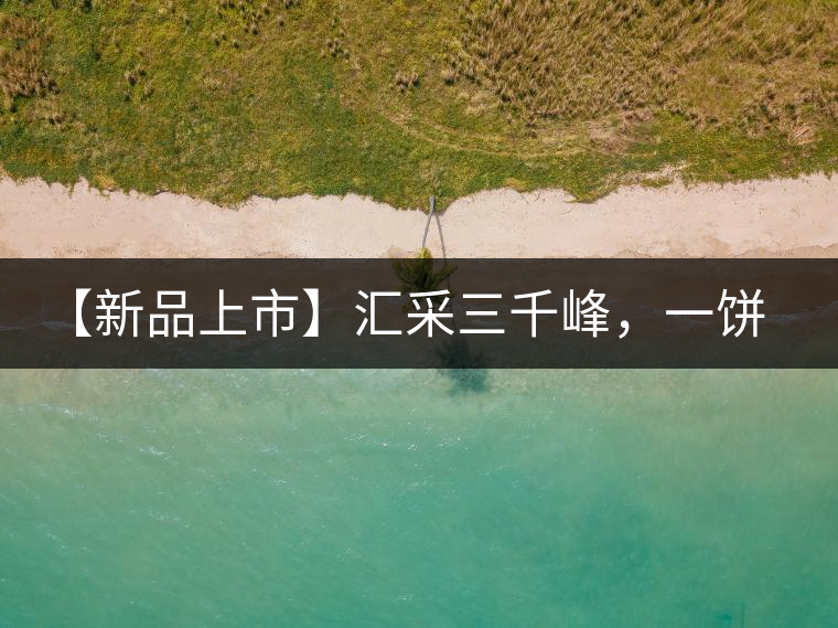 【新品上市】匯采三千峰，一餅群山鑄——群峰之峻！