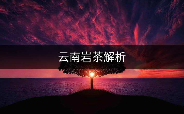 云南巖茶解析