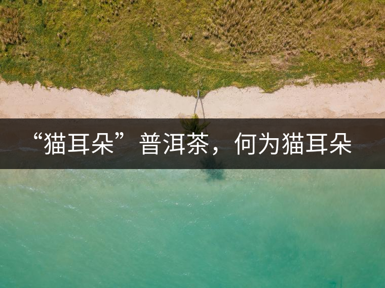 “貓耳朵”普洱茶，何為貓耳朵？