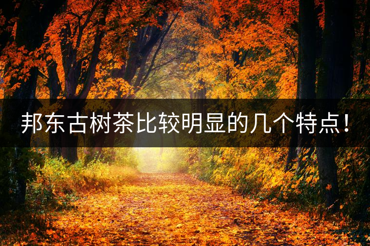 邦東古樹茶比較明顯的幾個特點！