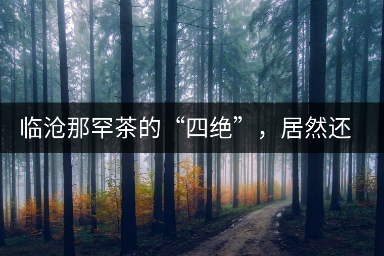 臨滄那罕茶的“四絕”，居然還沒說到它的品質(zhì)