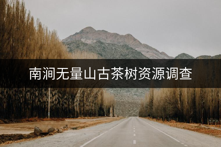 南澗無(wú)量山古茶樹(shù)資源調(diào)查 南澗無(wú)量山古茶樹(shù)資源調(diào)查