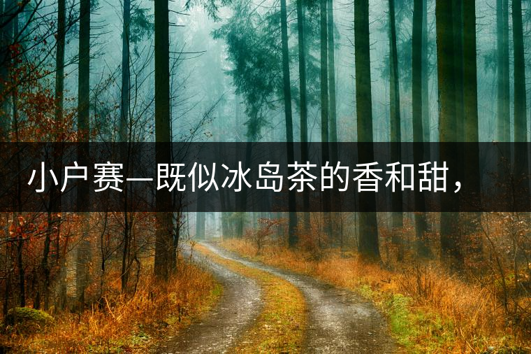 小戶賽—既似冰島茶的香和甜，又有其獨(dú)特的純和凈