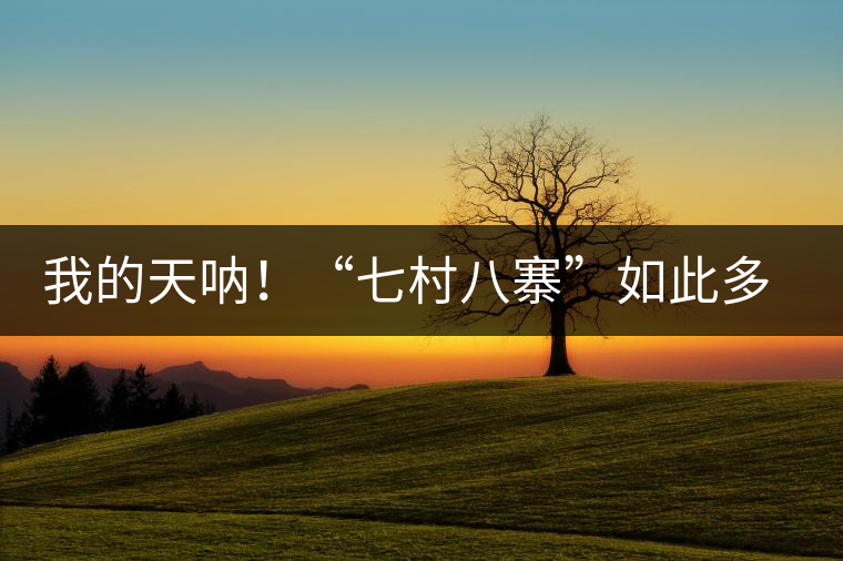 我的天吶！“七村八寨”如此多的易武茶，品質(zhì)特色如何分辨？
