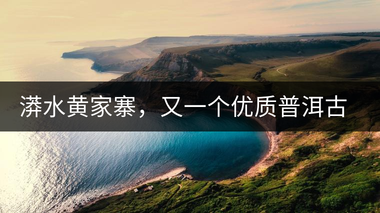 漭水黃家寨，又一個(gè)優(yōu)質(zhì)普洱古樹(shù)群落