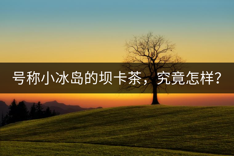 號稱小冰島的壩卡茶，究竟怎樣？