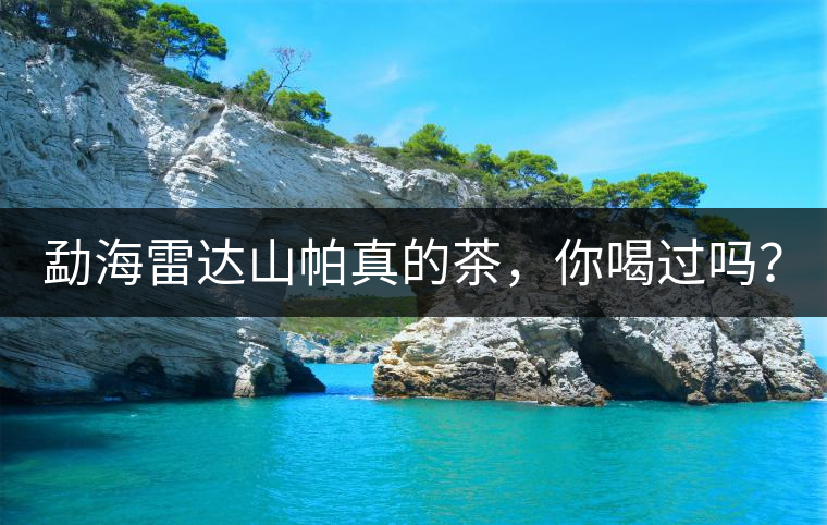 勐海雷達(dá)山帕真的茶，你喝過嗎？