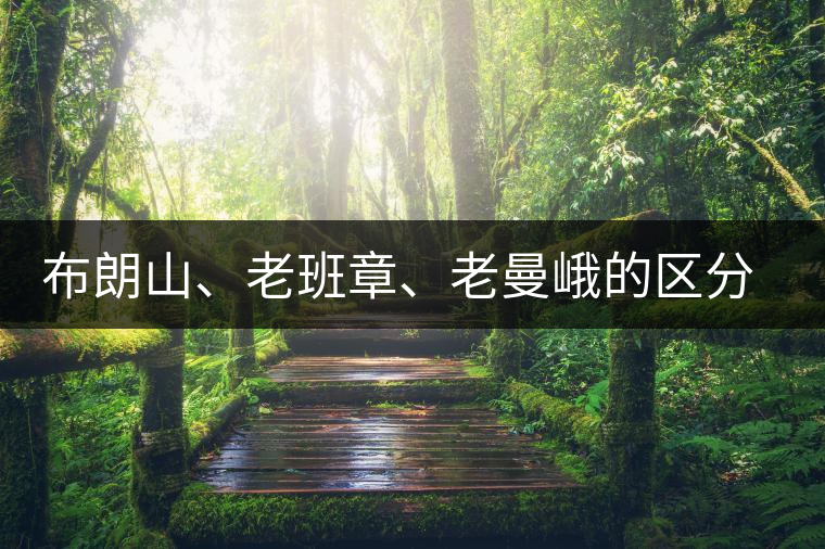 布朗山、老班章、老曼峨的區(qū)分和鑒別