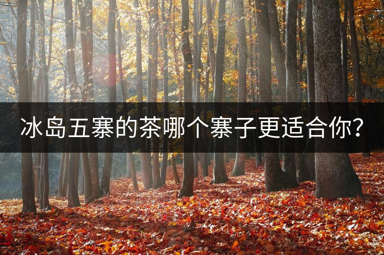 冰島五寨的茶哪個(gè)寨子更適合你？