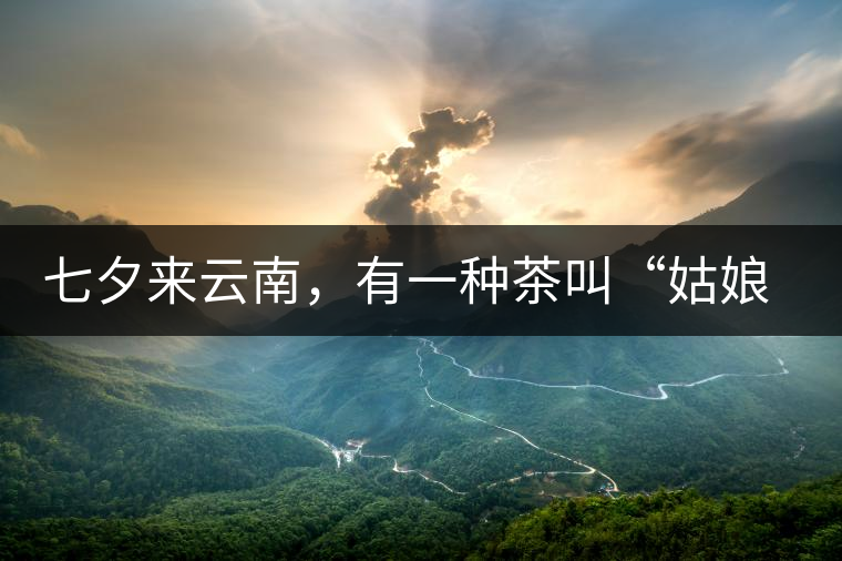 七夕來云南，有一種茶叫“姑娘茶”，也許你就能遇上