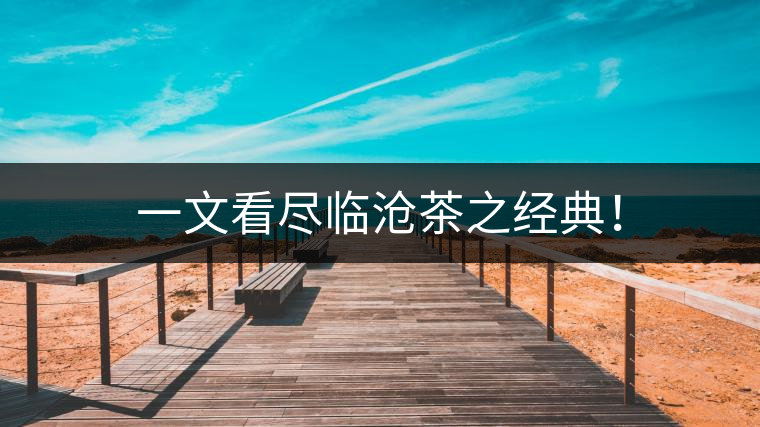 一文看盡臨滄茶之經(jīng)典！