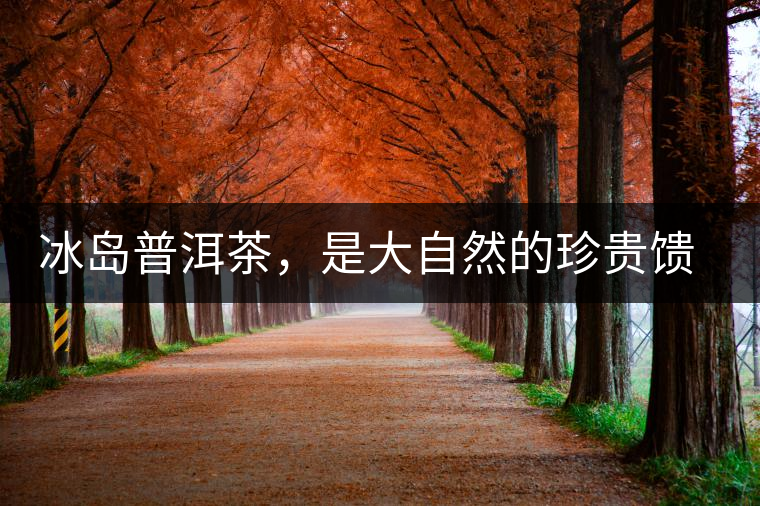 冰島普洱茶，是大自然的珍貴饋贈